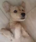 Marley