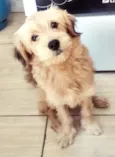 Marley