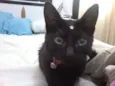 Nina