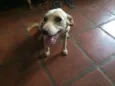 Zito