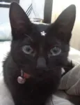 Nina