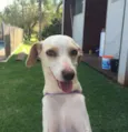 Zito