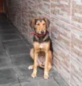 menina