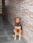 menina