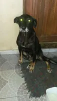 Preta