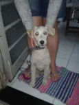 Alemão
