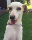 Zito