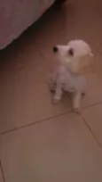 clarinha