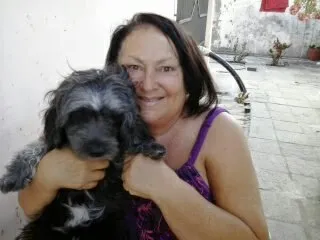 Cachorro ra a POODLE idade 3 anos nome RAFA