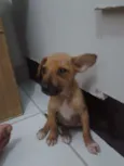 Brad, Jolie, Angelina