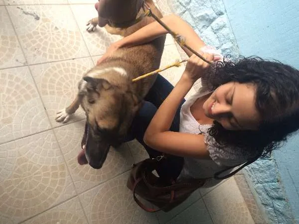 Cachorro ra a Vira Lata idade 2 anos nome Bradi
