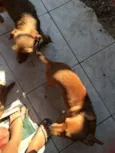 Kyra é Príncipe