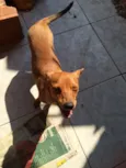 Kyra é Príncipe