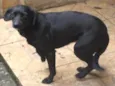 Nina