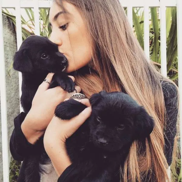 Cachorro ra a SRD idade 2 a 6 meses nome Bombons