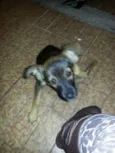Bilu