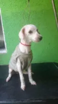 Nina