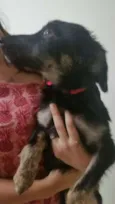 Nina