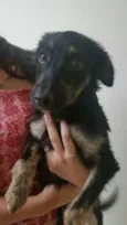 Nina