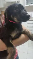 Nina