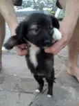 Nao tem nomes ainda