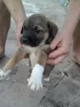 Nao tem nomes ainda