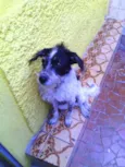 Jake