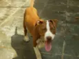 Ralf