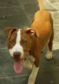 Ralf