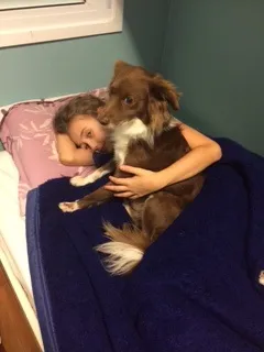 Cachorro ra a Mestiço idade 3 anos nome Teco