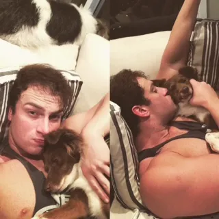 Cachorro ra a Mestiço idade 3 anos nome Teco