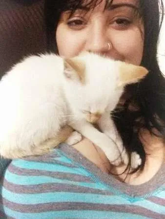 Gato ra a SRD idade  nome Coquinho