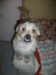 sem nome