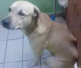 Bob