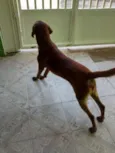 Ralf