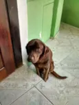Ralf