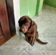 Ralf