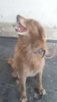 Marlon