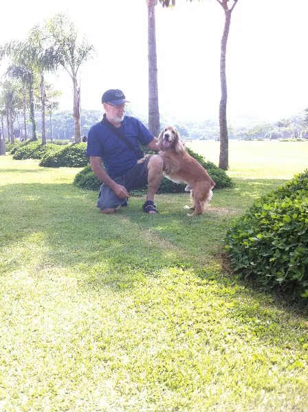 Cachorro ra a Cocker idade 6 ou mais anos nome Sirius