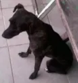 Anita