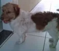 Ralf