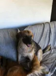 Zé