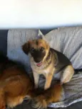 Zé