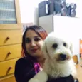 Pingo