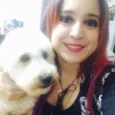 Pingo