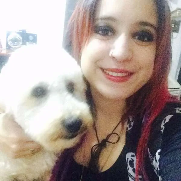 Cachorro ra a Poodle idade 1 ano nome Pingo
