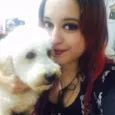 Pingo