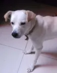Taby
