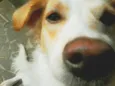 Milly