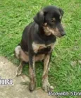 Menina